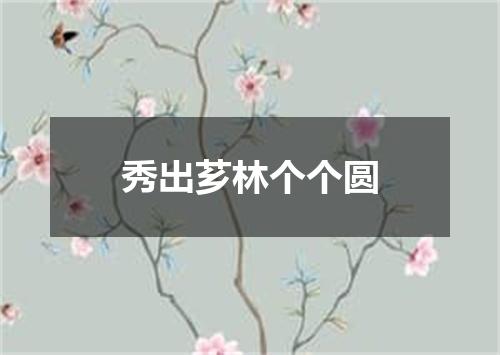 秀出芗林个个圆