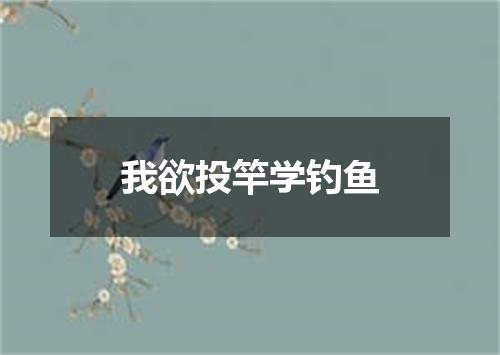 我欲投竿学钓鱼