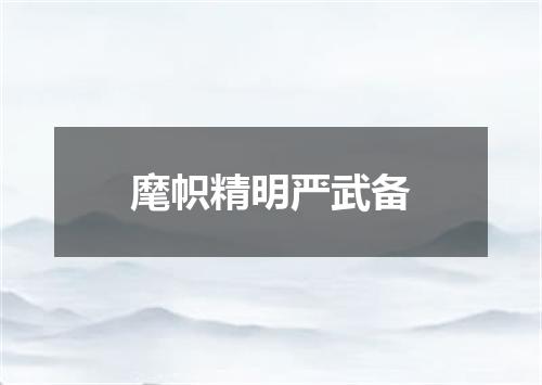 麾帜精明严武备