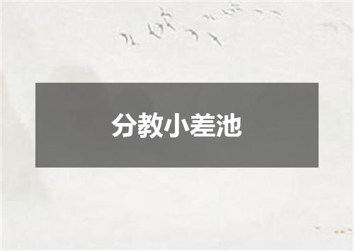 分教小差池