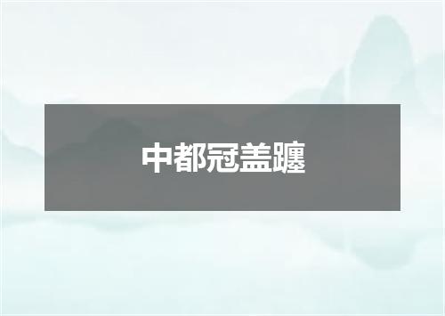 中都冠盖躔