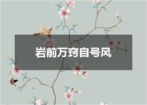 岩前万窍自号风