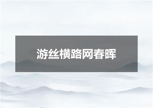 游丝横路网春晖