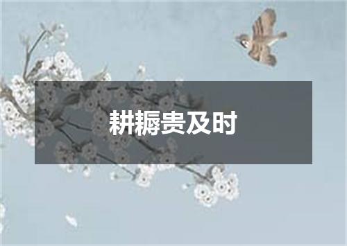 耕耨贵及时