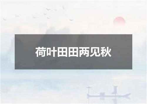 荷叶田田两见秋