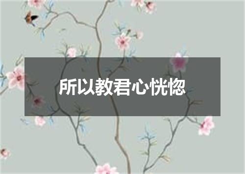 所以教君心恍惚