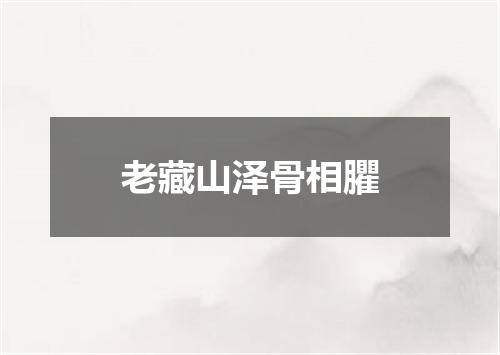 老藏山泽骨相臞