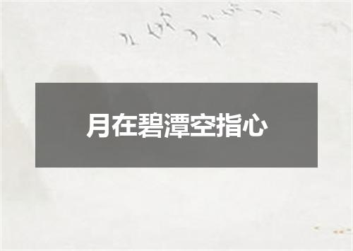 月在碧潭空指心