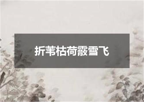 折苇枯荷霰雪飞