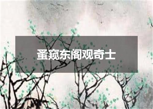 蚤窥东阁观奇士
