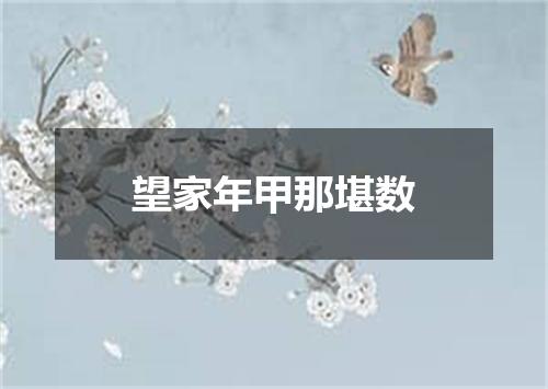 望家年甲那堪数