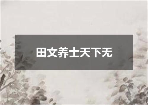 田文养士天下无