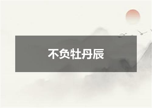 不负牡丹辰