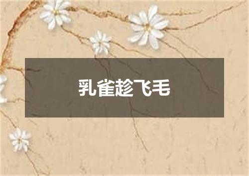 乳雀趁飞毛
