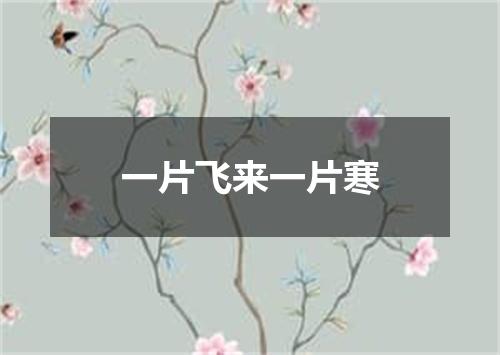 一片飞来一片寒