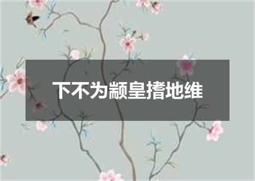下不为颛皇搘地维