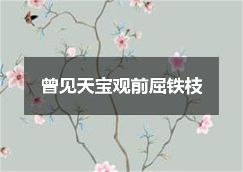 曾见天宝观前屈铁枝
