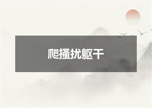 爬搔扰躯干