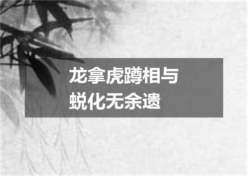 龙拿虎蹲相与蜕化无余遗