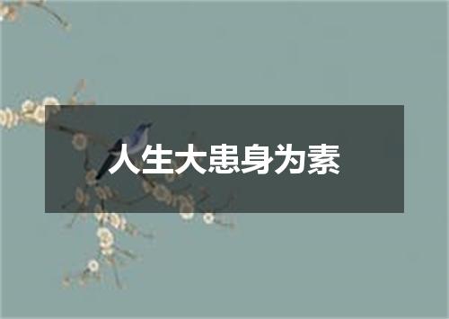人生大患身为素