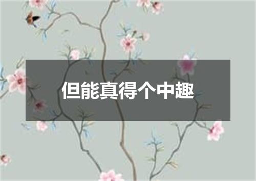 但能真得个中趣
