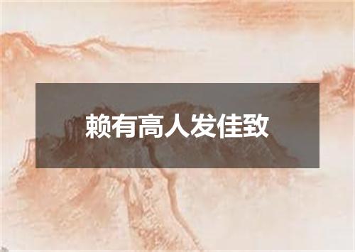 赖有高人发佳致