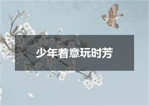 少年着意玩时芳