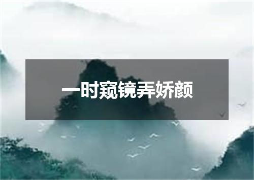 一时窥镜弄娇颜