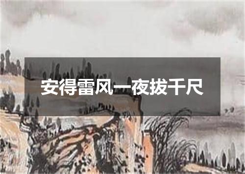 安得雷风一夜拔千尺