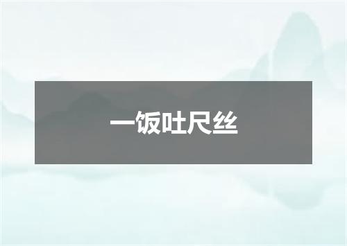 一饭吐尺丝