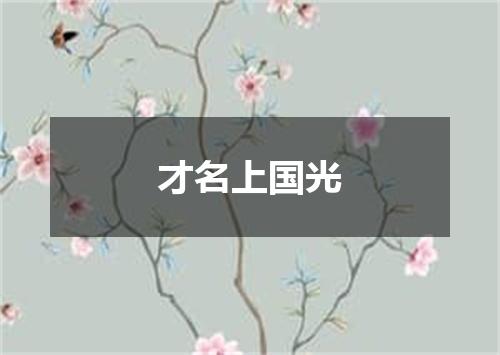 才名上国光