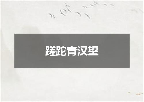 蹉跎青汉望