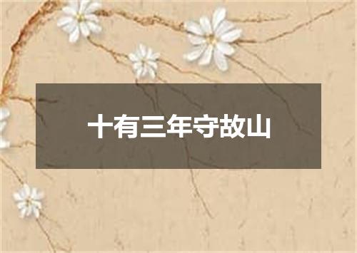 十有三年守故山