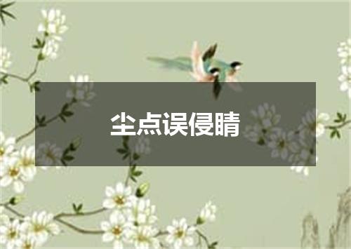 尘点误侵睛