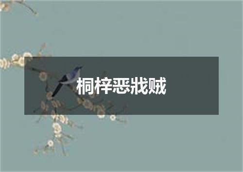 桐梓恶戕贼