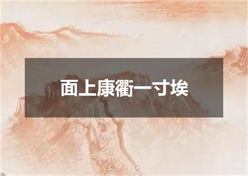 面上康衢一寸埃