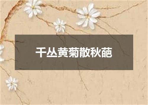 千丛黄菊散秋葩