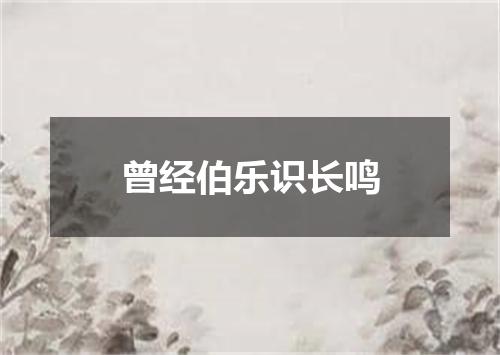 曾经伯乐识长鸣