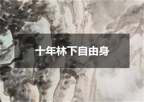 十年林下自由身