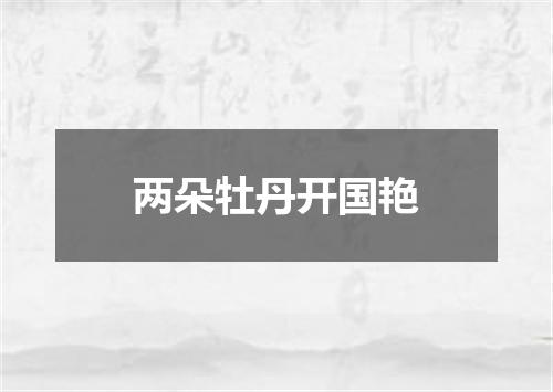 两朵牡丹开国艳