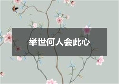 举世何人会此心