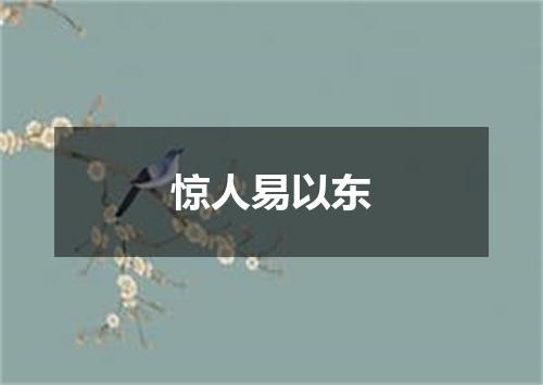 惊人易以东