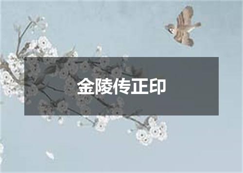 金陵传正印