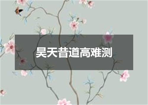 昊天昔道高难测