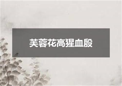 芙蓉花高猩血殷