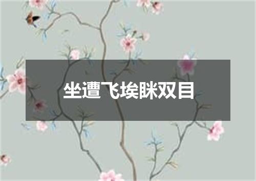 坐遭飞埃眯双目