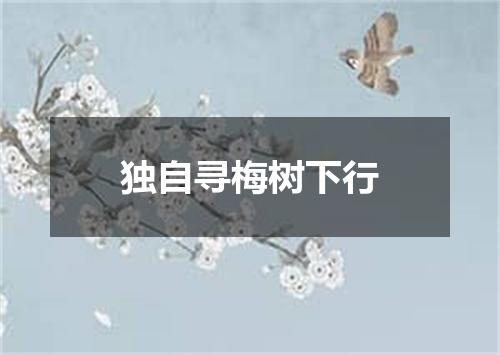 独自寻梅树下行