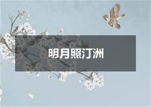 明月照汀洲