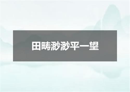 田畴渺渺平一望