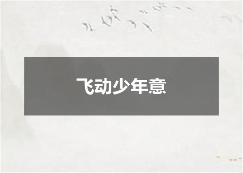 飞动少年意
